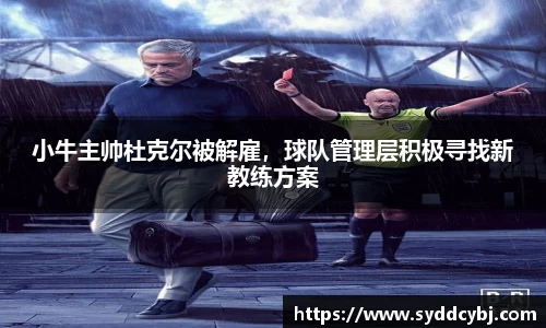 小牛主帅杜克尔被解雇，球队管理层积极寻找新教练方案